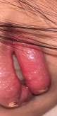 لیپگلاس شکوفه گیلاس